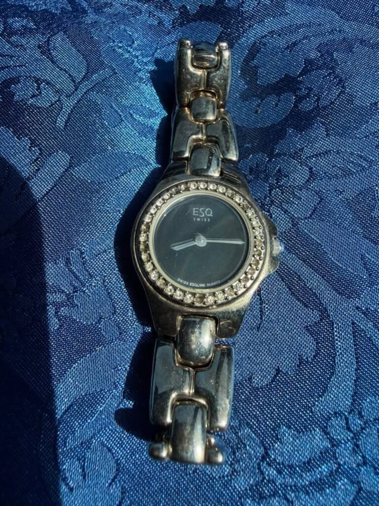ESQ by Movado Swiss Dress Watch (CCC055)